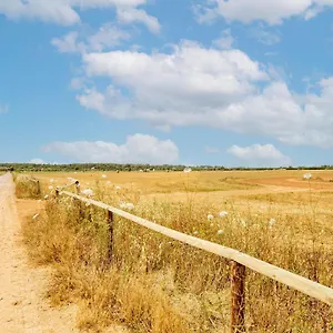 Possessio Sa Barrala Gallinero Сasa de vacaciones Campos (Mallorca)